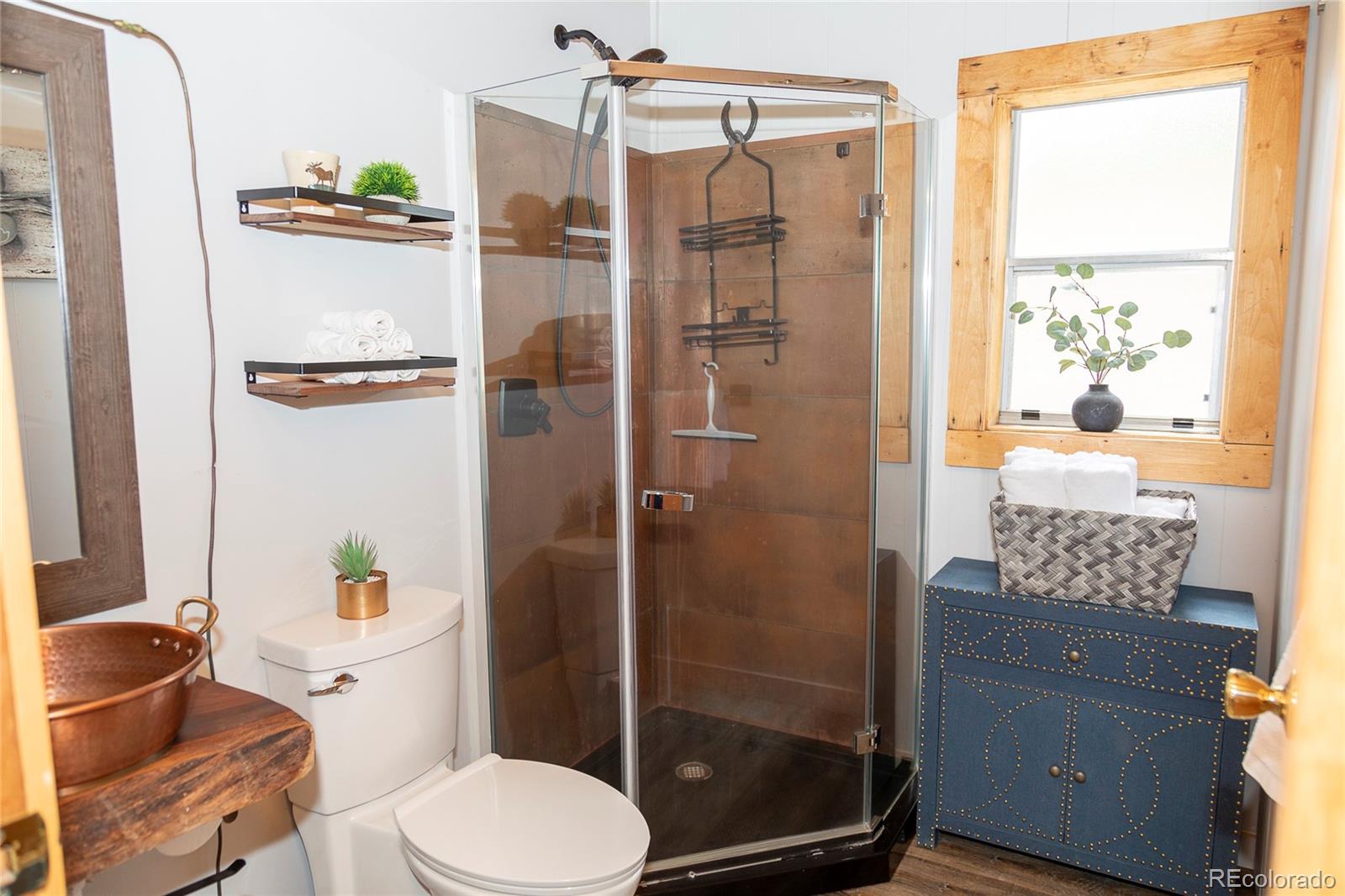 MLS Image #7 for 1001  cr 17 ,lake city, Colorado