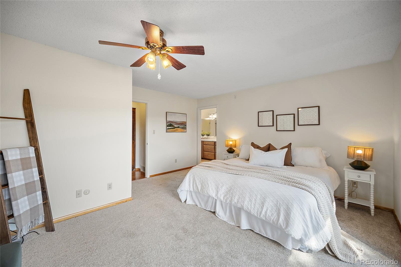 MLS Image #10 for 312  blue windsor lane,colorado springs, Colorado