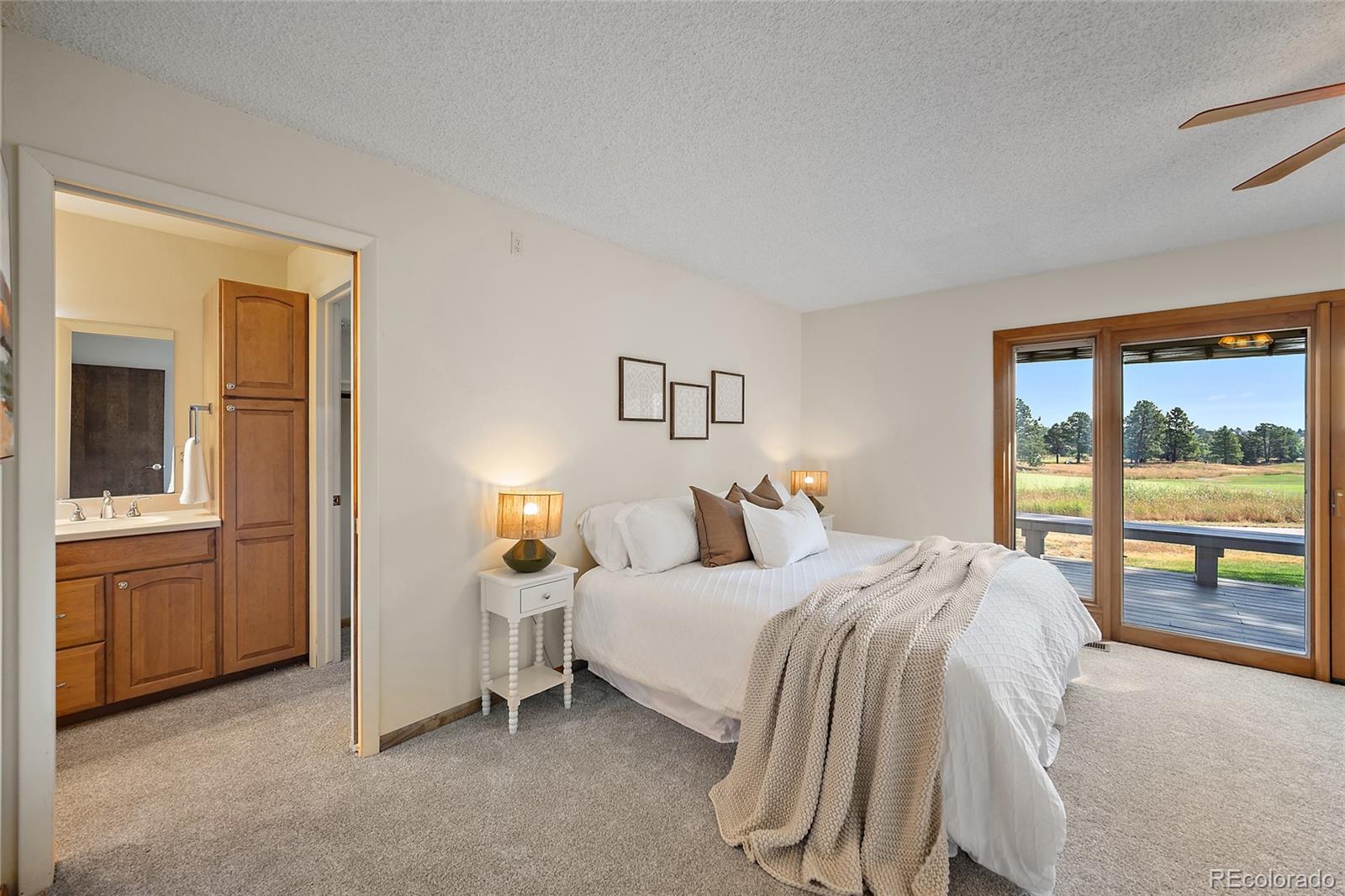MLS Image #11 for 312  blue windsor lane,colorado springs, Colorado
