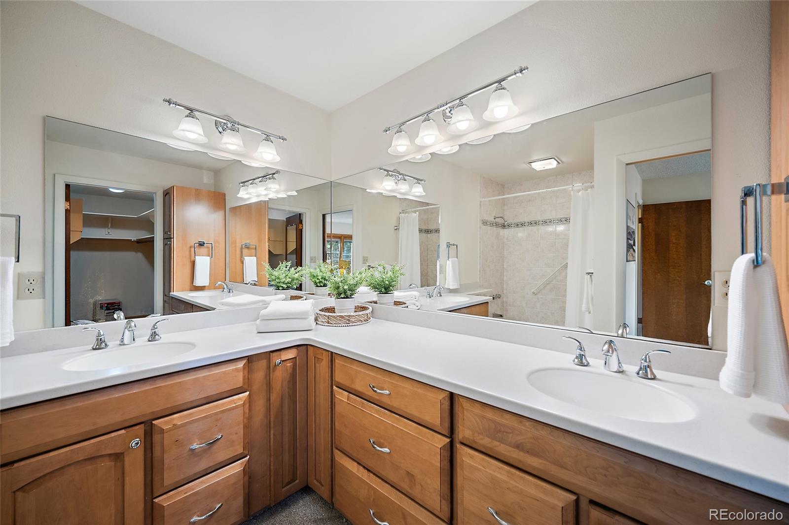 MLS Image #12 for 312  blue windsor lane,colorado springs, Colorado