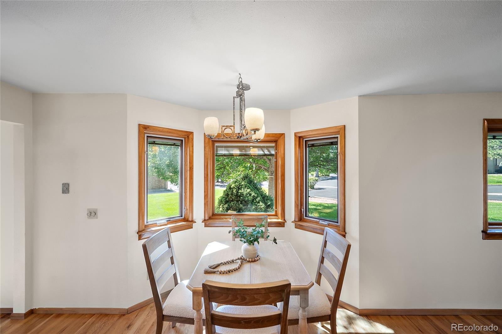 MLS Image #9 for 312  blue windsor lane,colorado springs, Colorado
