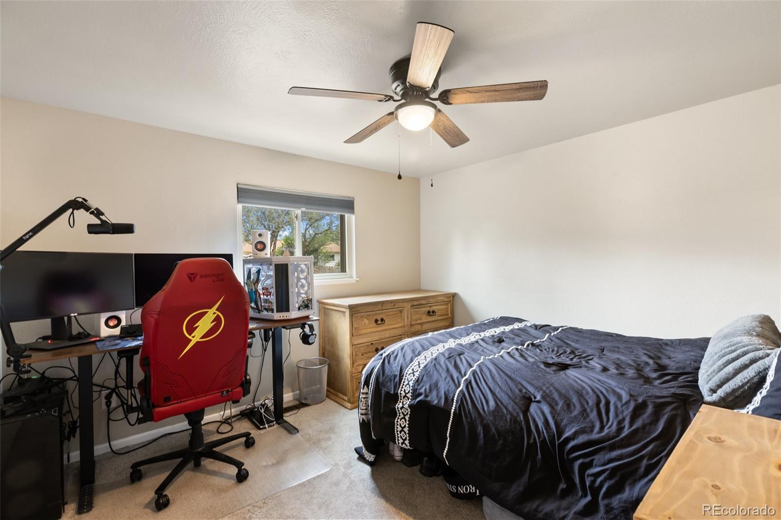 MLS Image #20 for 5221  smokehouse lane,colorado springs, Colorado
