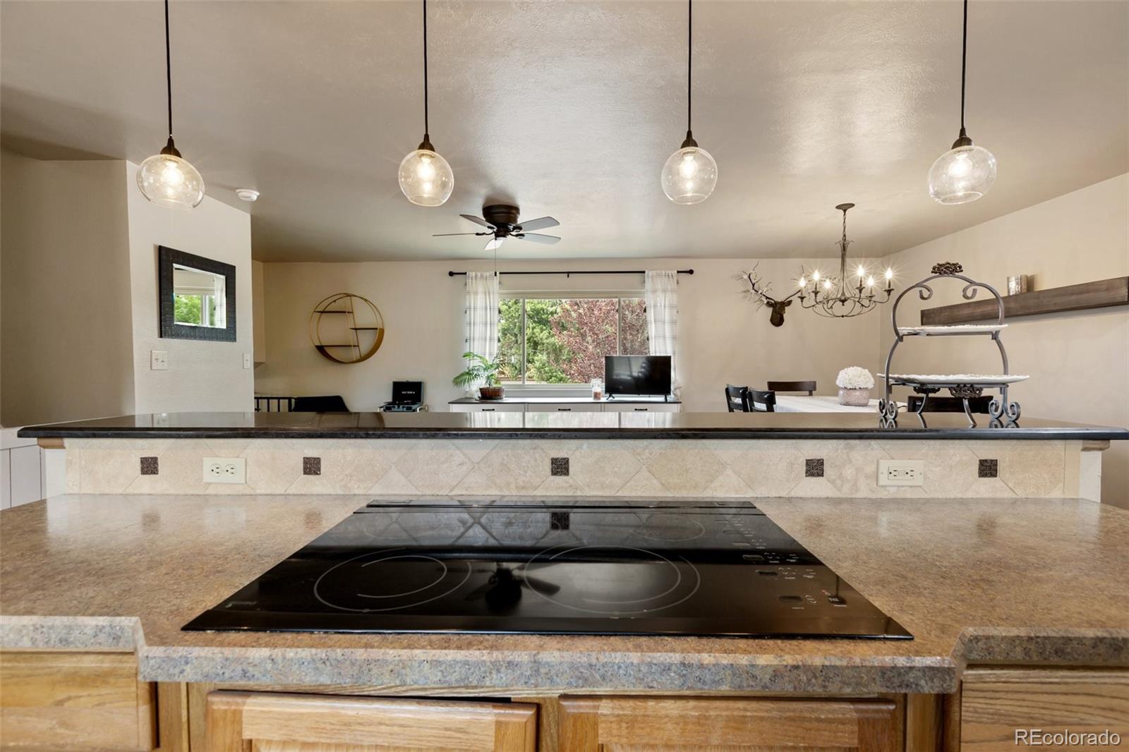 MLS Image #9 for 5221  smokehouse lane,colorado springs, Colorado