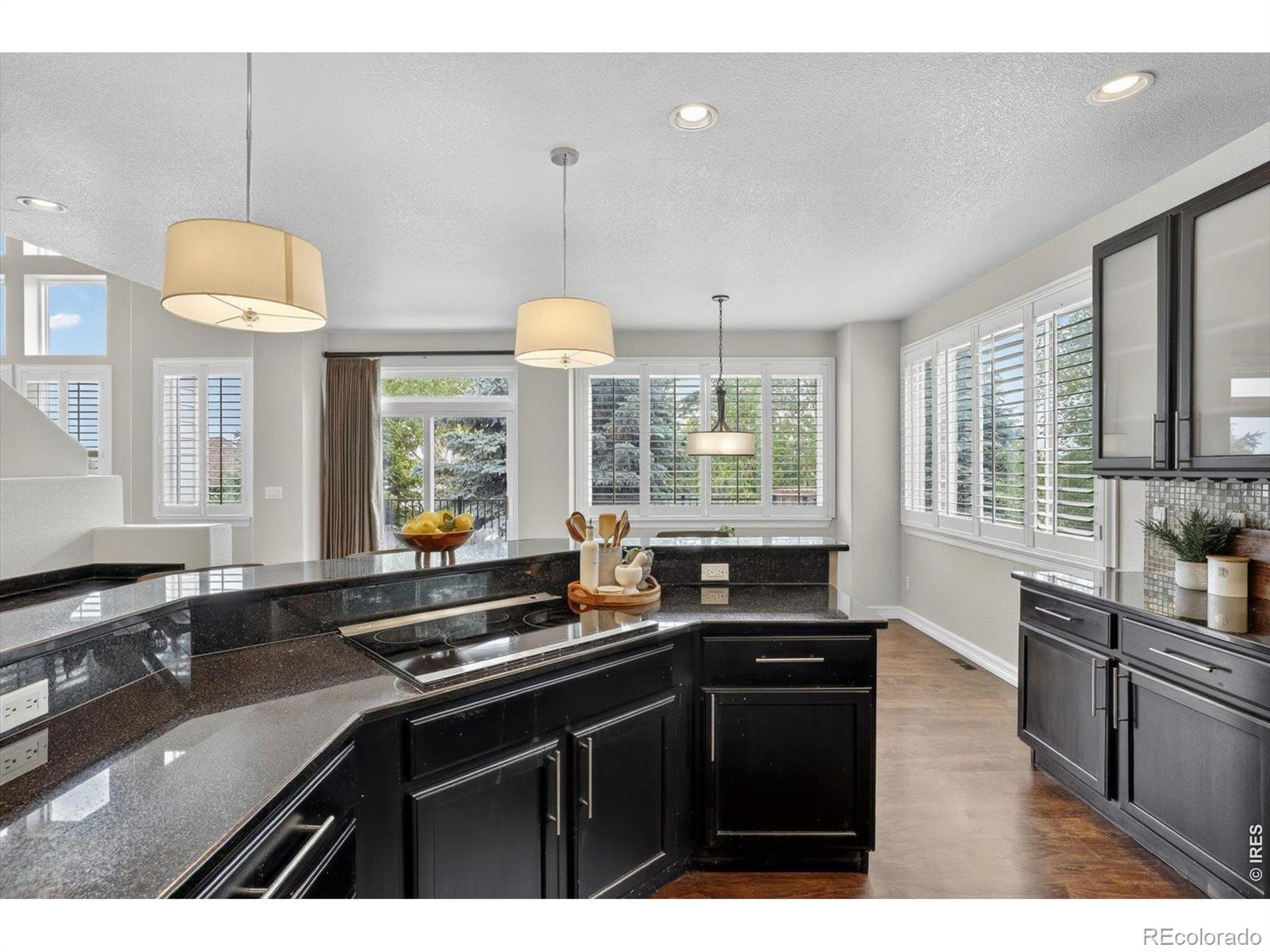 MLS Image #18 for 10425  carriage club drive,lone tree, Colorado