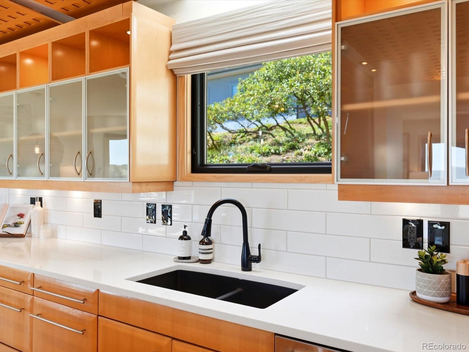 MLS Image #19 for 5931  silver thorn run,littleton, Colorado