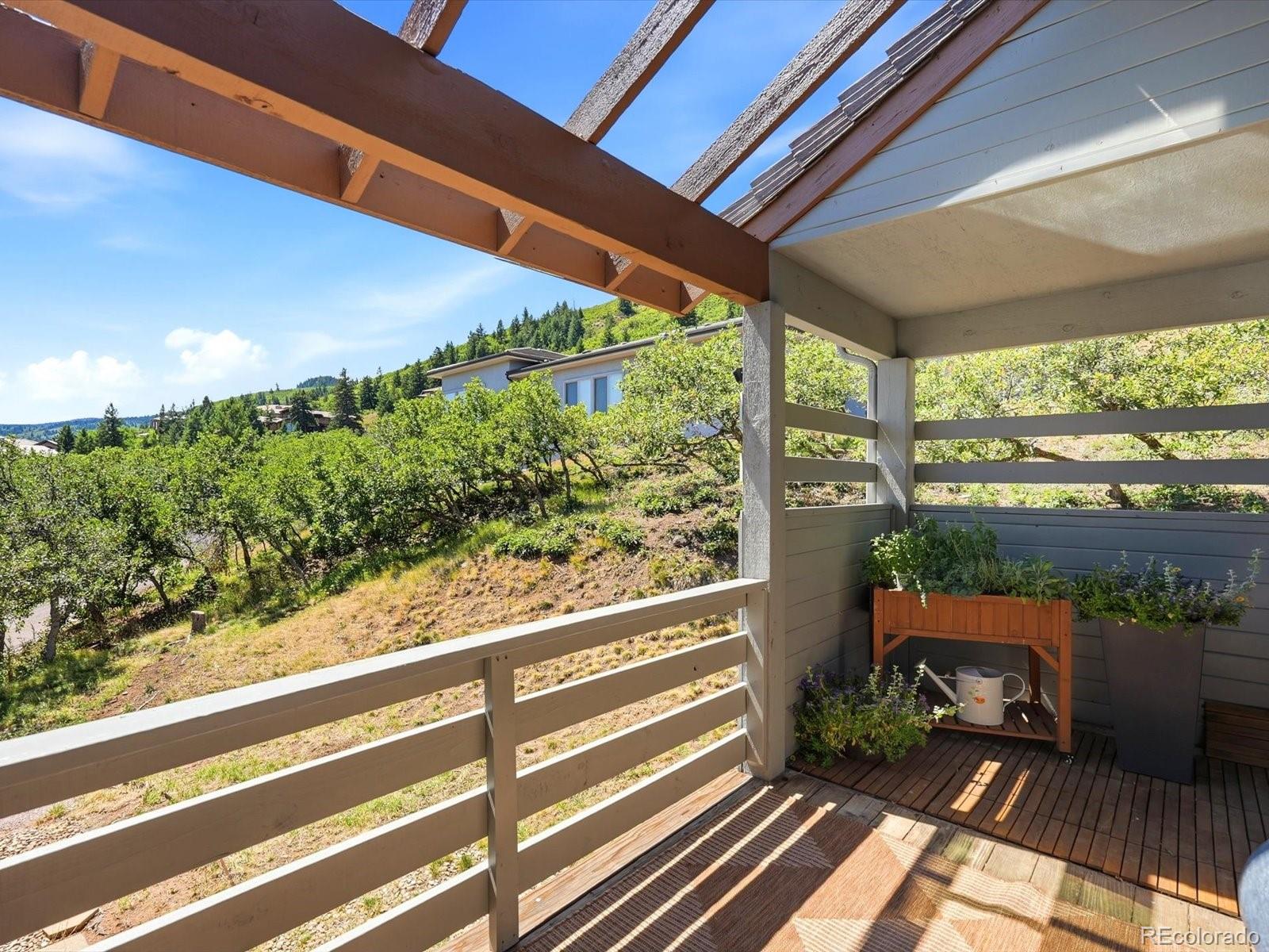 MLS Image #37 for 5931  silver thorn run,littleton, Colorado
