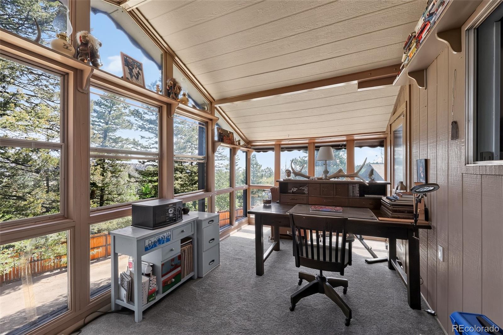MLS Image #11 for 1089  burland drive,bailey, Colorado