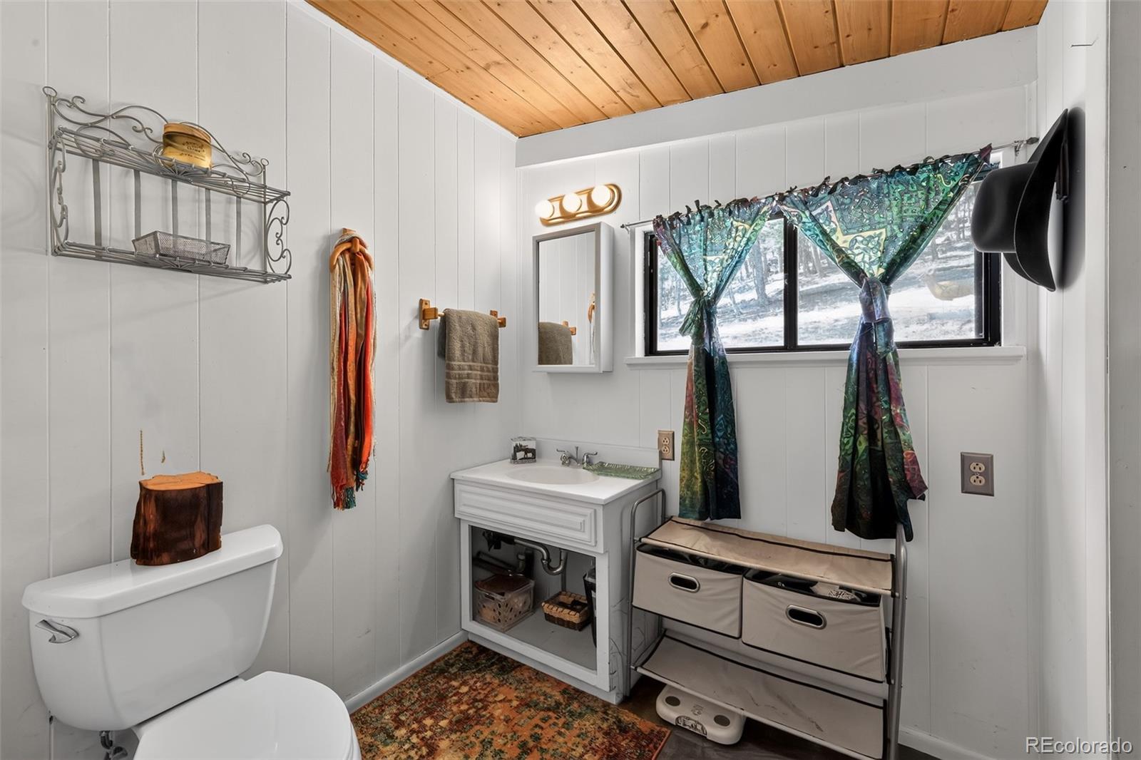 MLS Image #13 for 1089  burland drive,bailey, Colorado