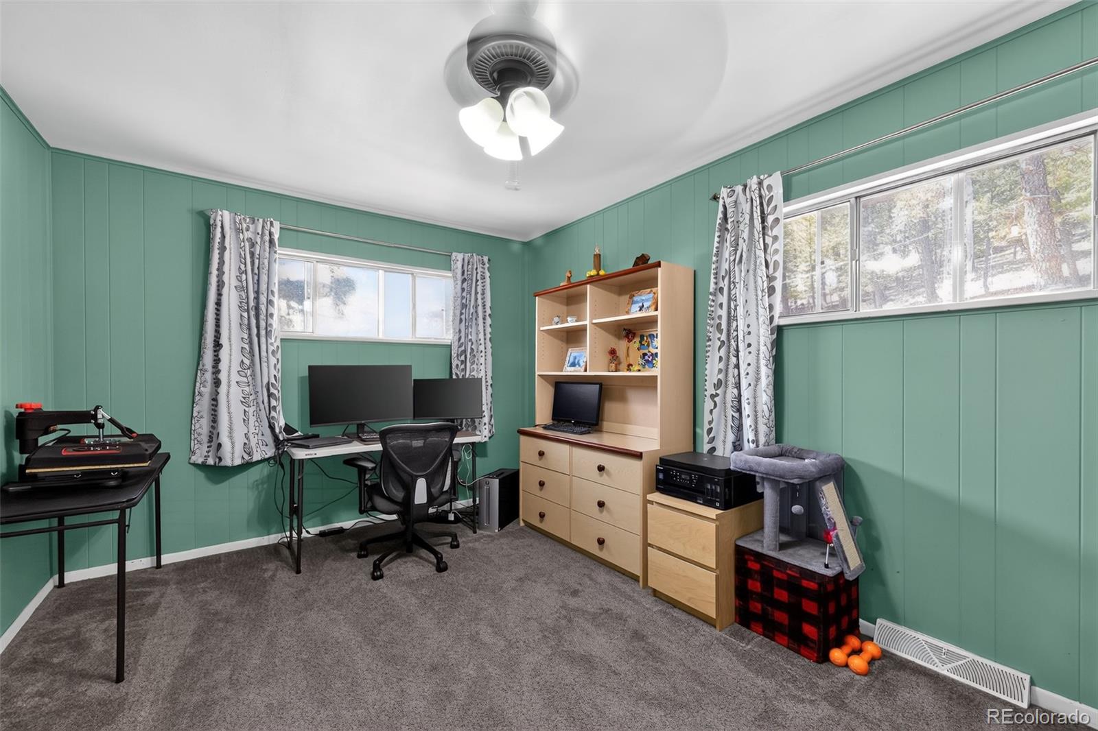 MLS Image #15 for 1089  burland drive,bailey, Colorado