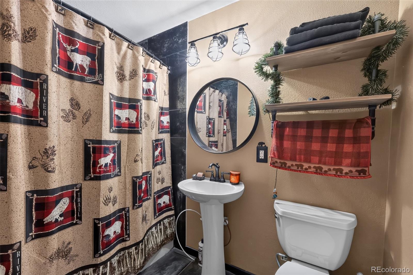 MLS Image #17 for 1089  burland drive,bailey, Colorado