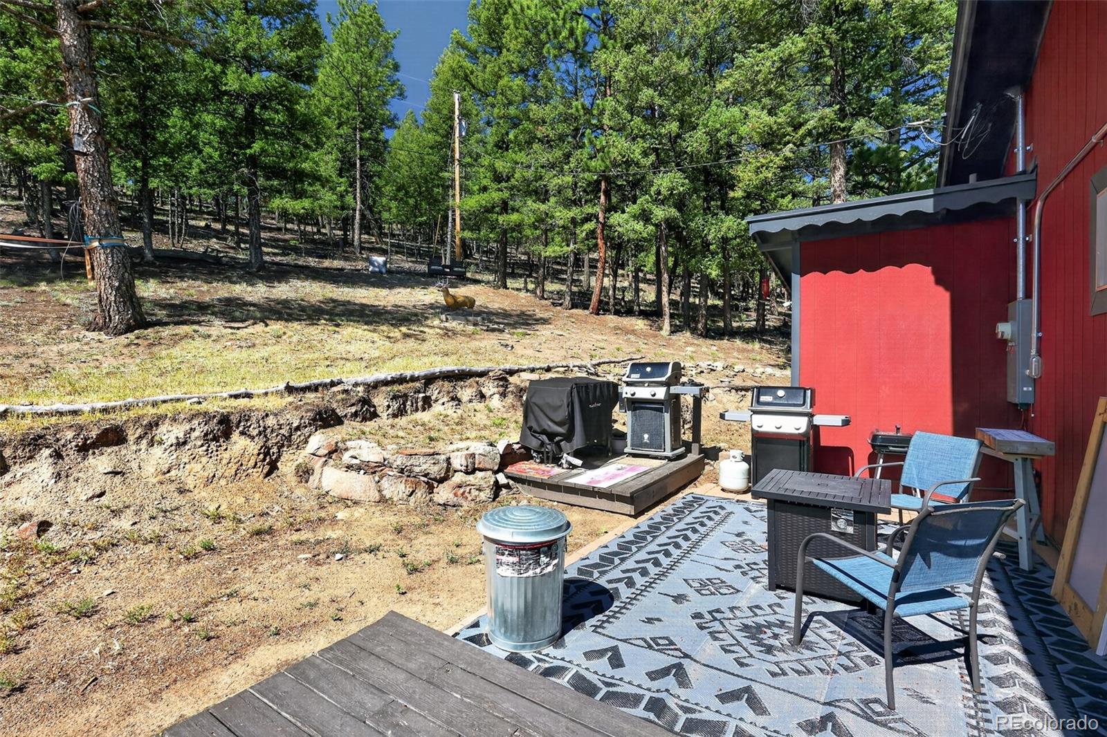 MLS Image #22 for 1089  burland drive,bailey, Colorado