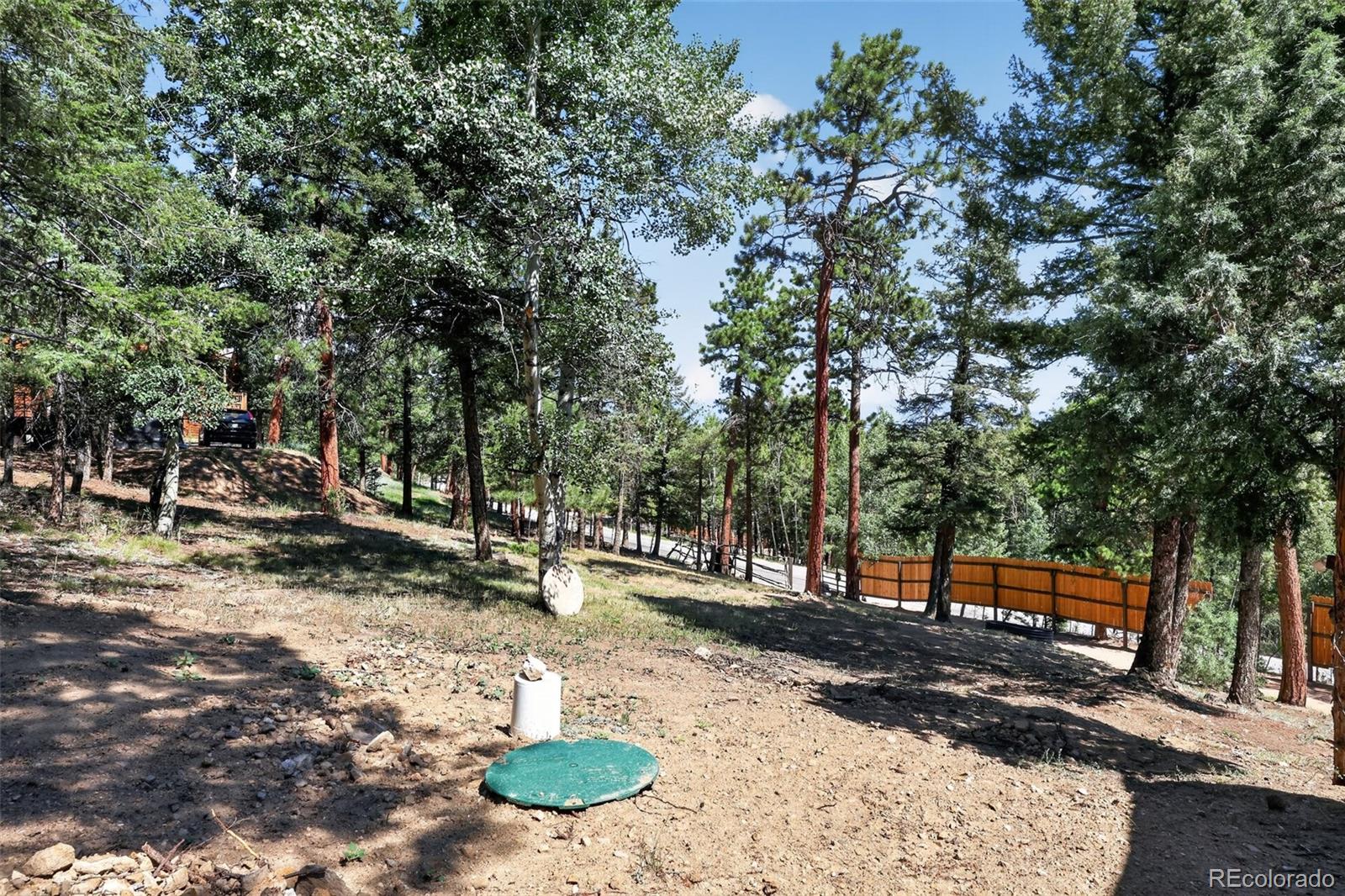 MLS Image #25 for 1089  burland drive,bailey, Colorado