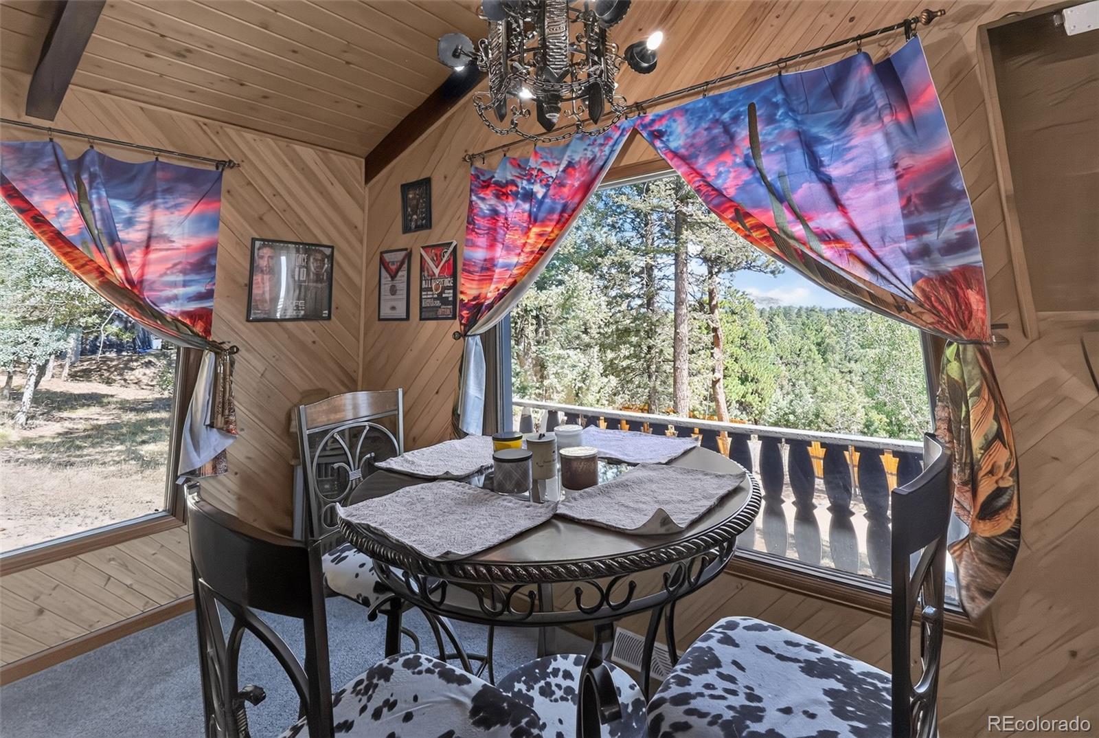 MLS Image #6 for 1089  burland drive,bailey, Colorado