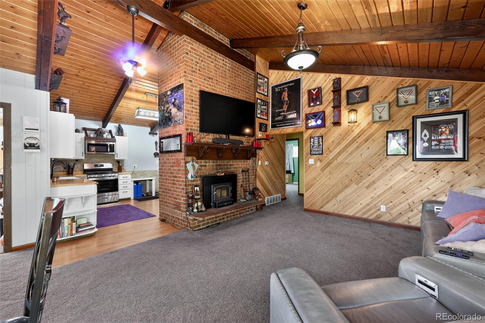 MLS Image #7 for 1089  burland drive,bailey, Colorado
