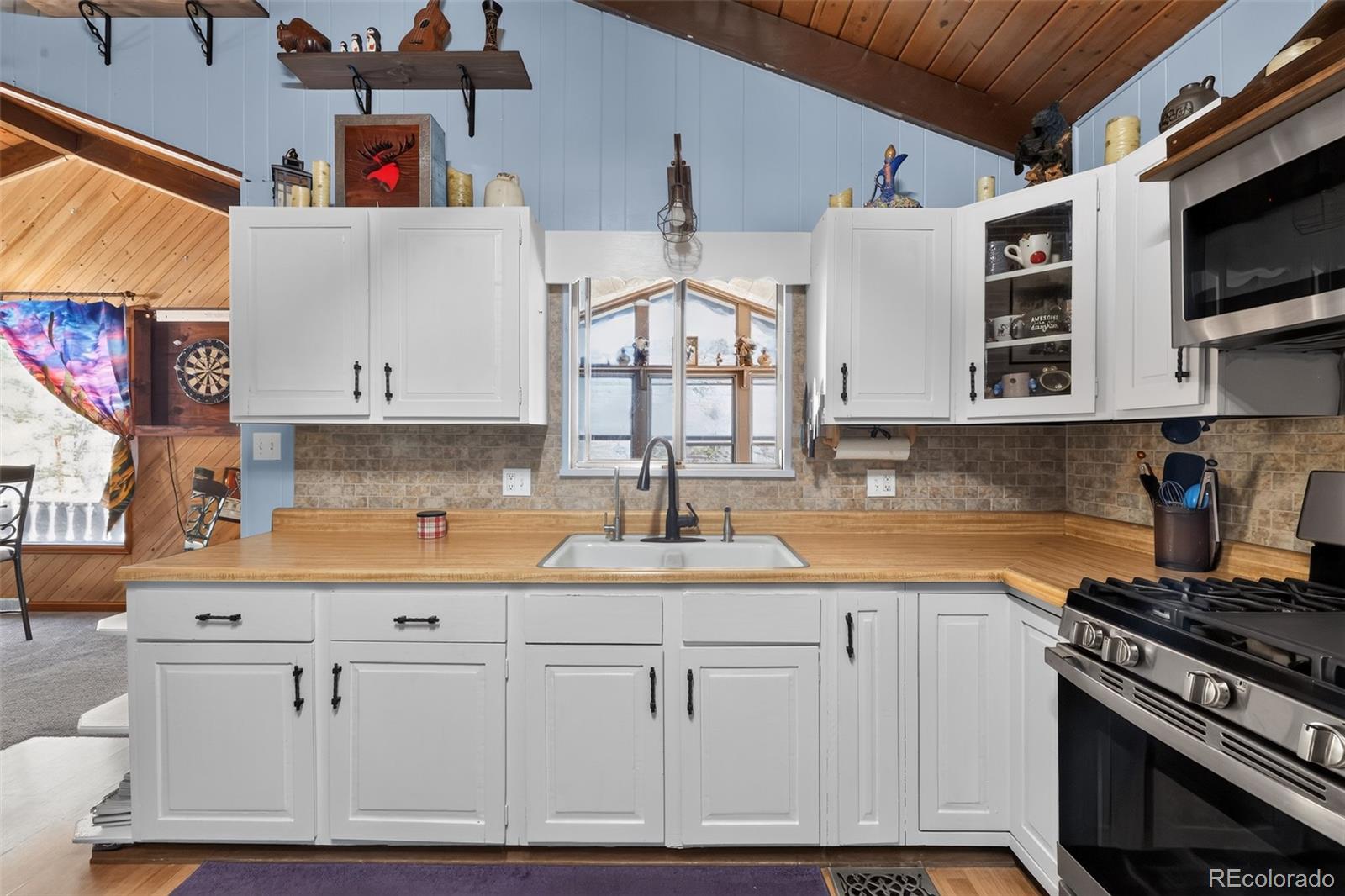 MLS Image #9 for 1089  burland drive,bailey, Colorado