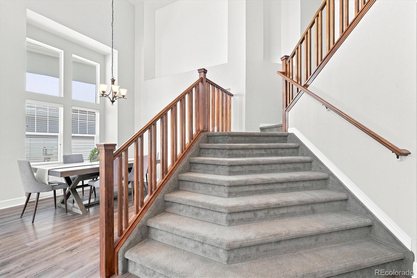 MLS Image #23 for 4606  nutmeg place,castle rock, Colorado