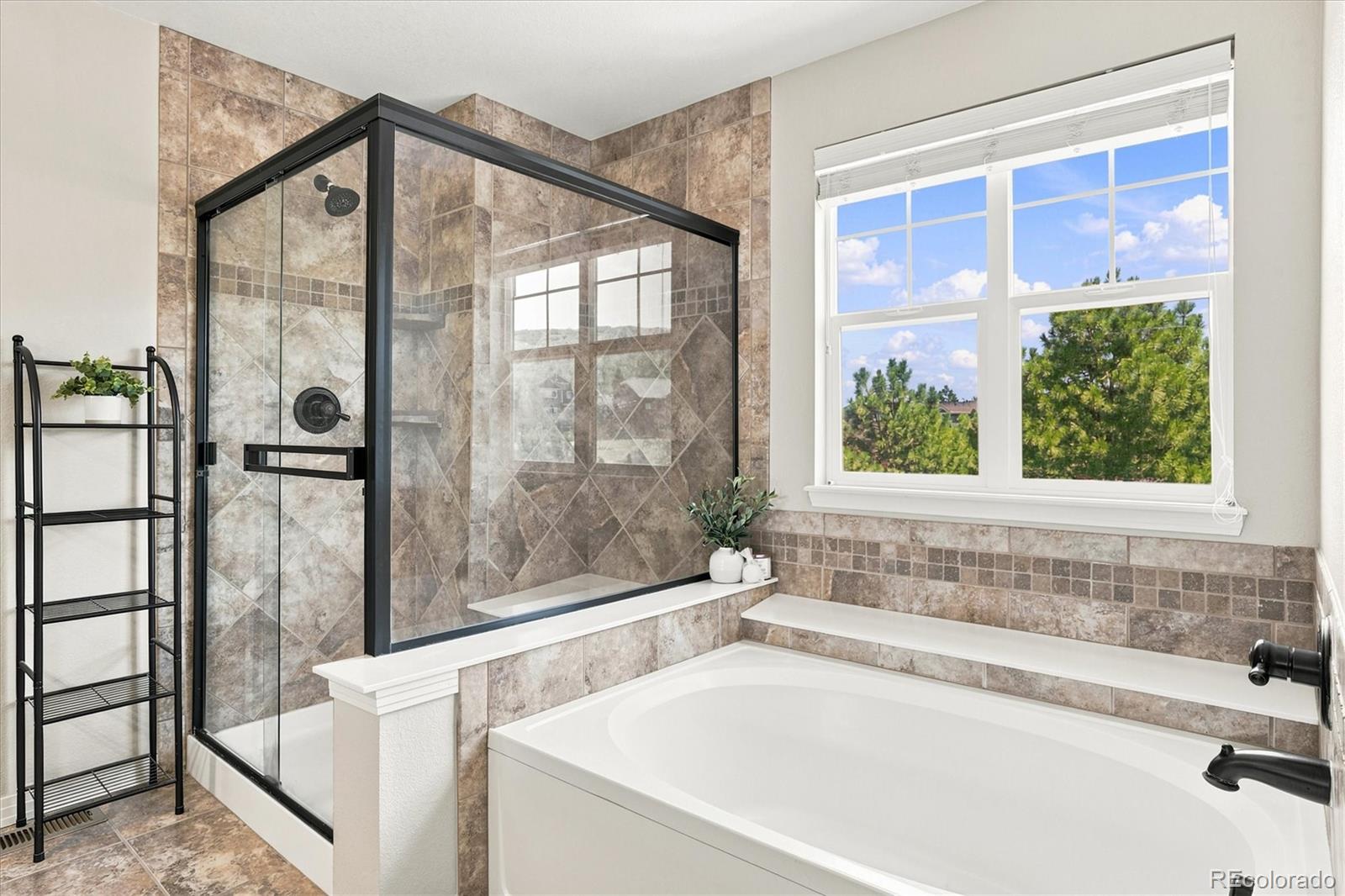 MLS Image #31 for 4606  nutmeg place,castle rock, Colorado