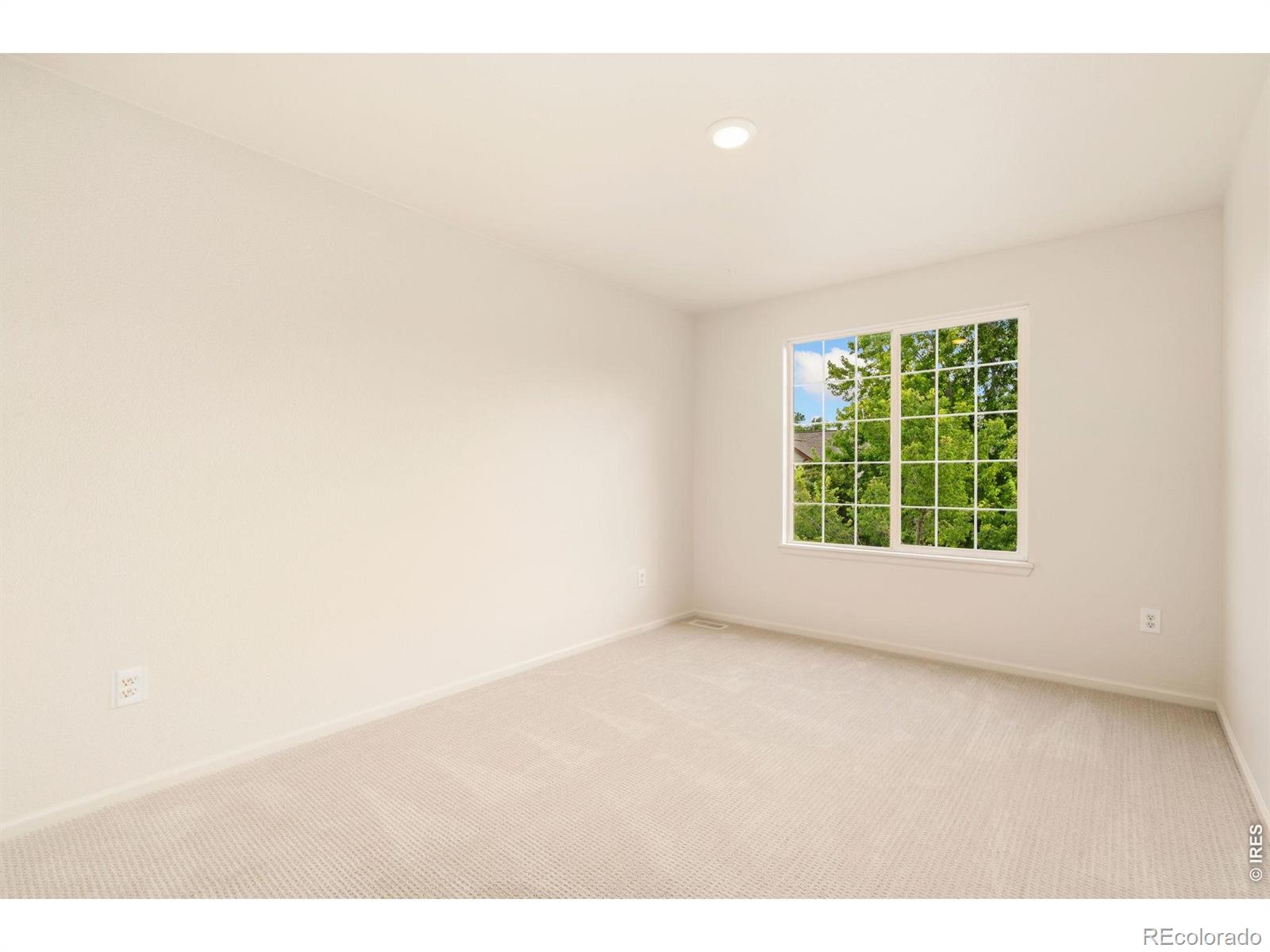MLS Image #23 for 1338  basseterre place,fort collins, Colorado