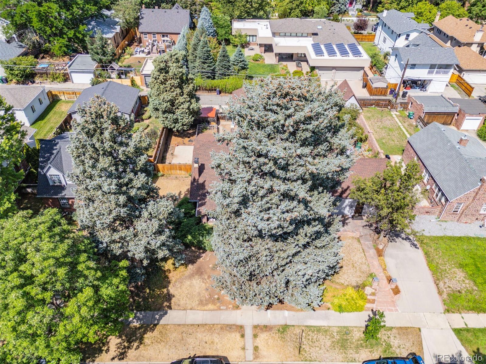 MLS Image #4 for 1355 s lafayette street,denver, Colorado