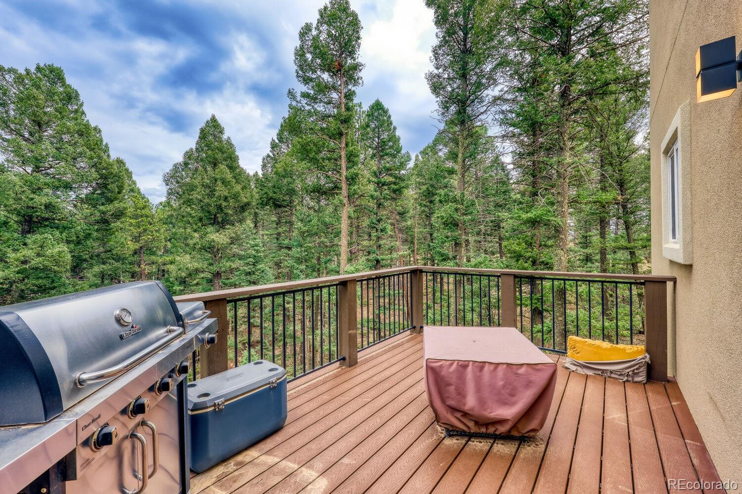 MLS Image #25 for 1897 n mountain estates road,florissant, Colorado