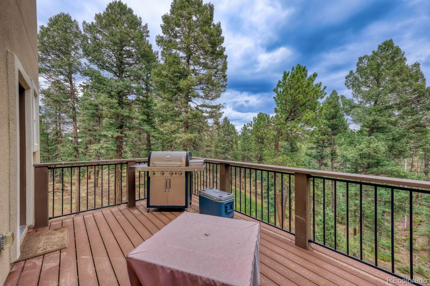 MLS Image #26 for 1897 n mountain estates road,florissant, Colorado