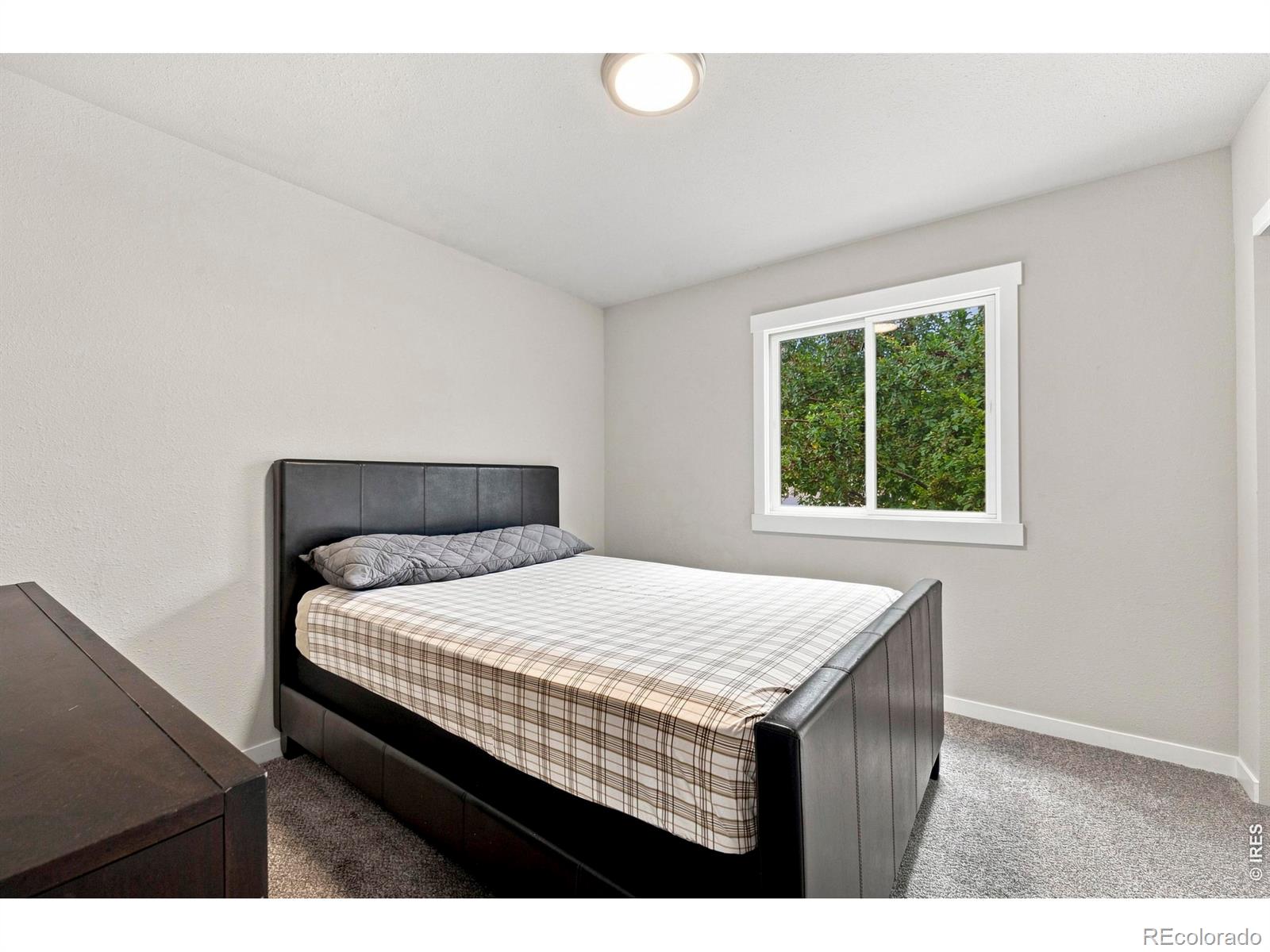 MLS Image #19 for 2431  sunstone drive,fort collins, Colorado