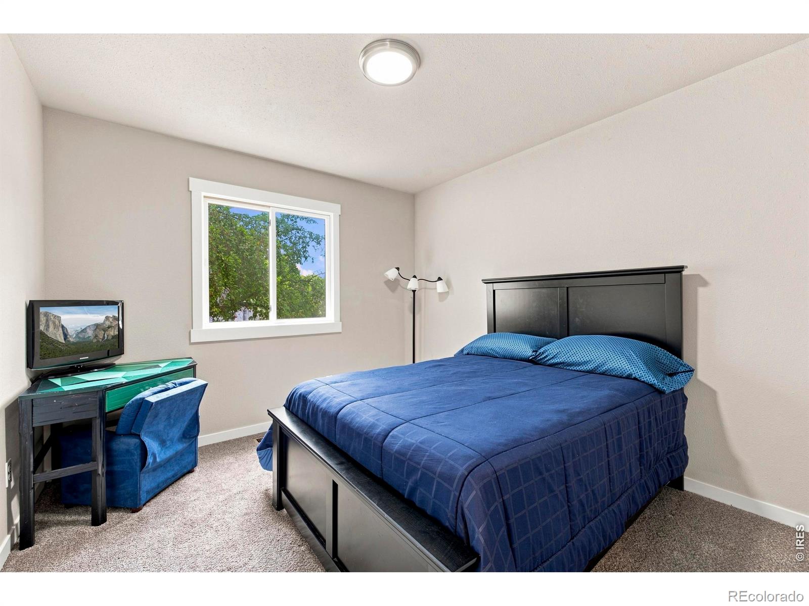 MLS Image #20 for 2431  sunstone drive,fort collins, Colorado