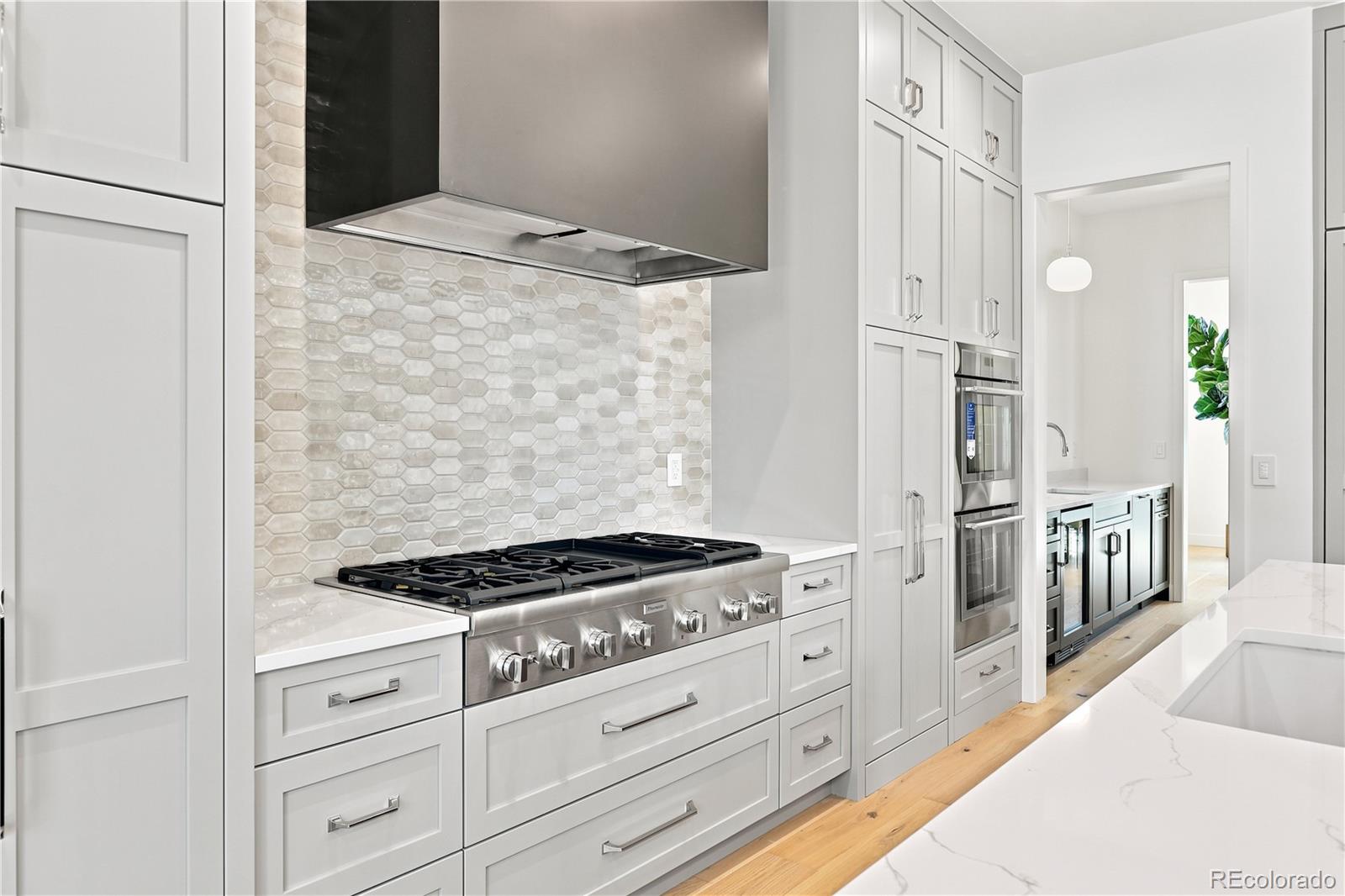MLS Image #11 for 1505 s gaylord street,denver, Colorado