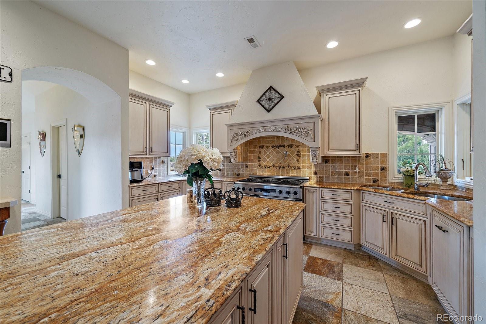 MLS Image #10 for 1175  castle pointe drive,castle rock, Colorado