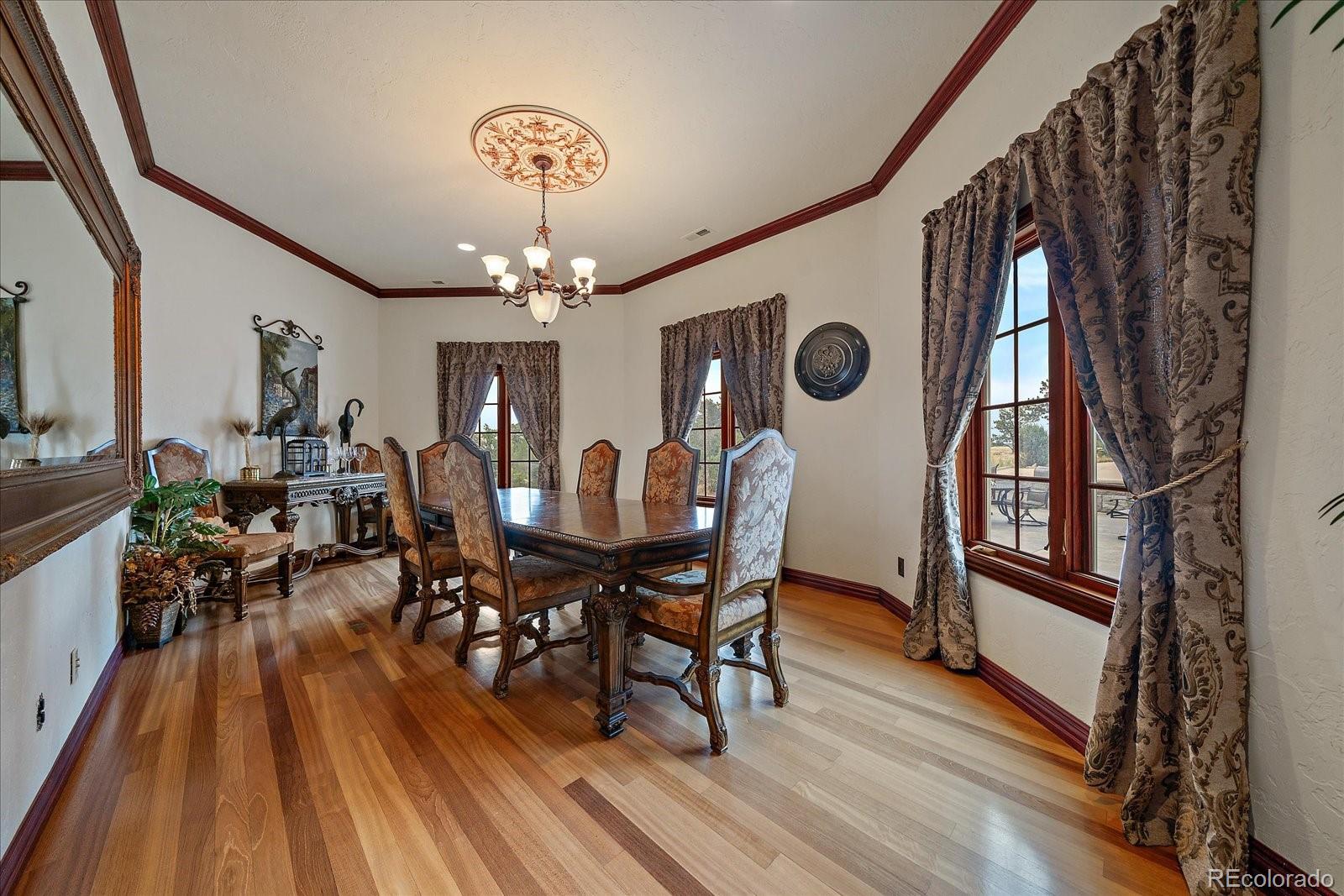 MLS Image #16 for 1175  castle pointe drive,castle rock, Colorado
