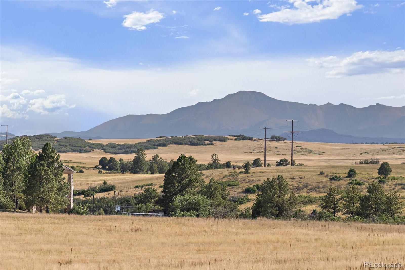 MLS Image #45 for 1175  castle pointe drive,castle rock, Colorado