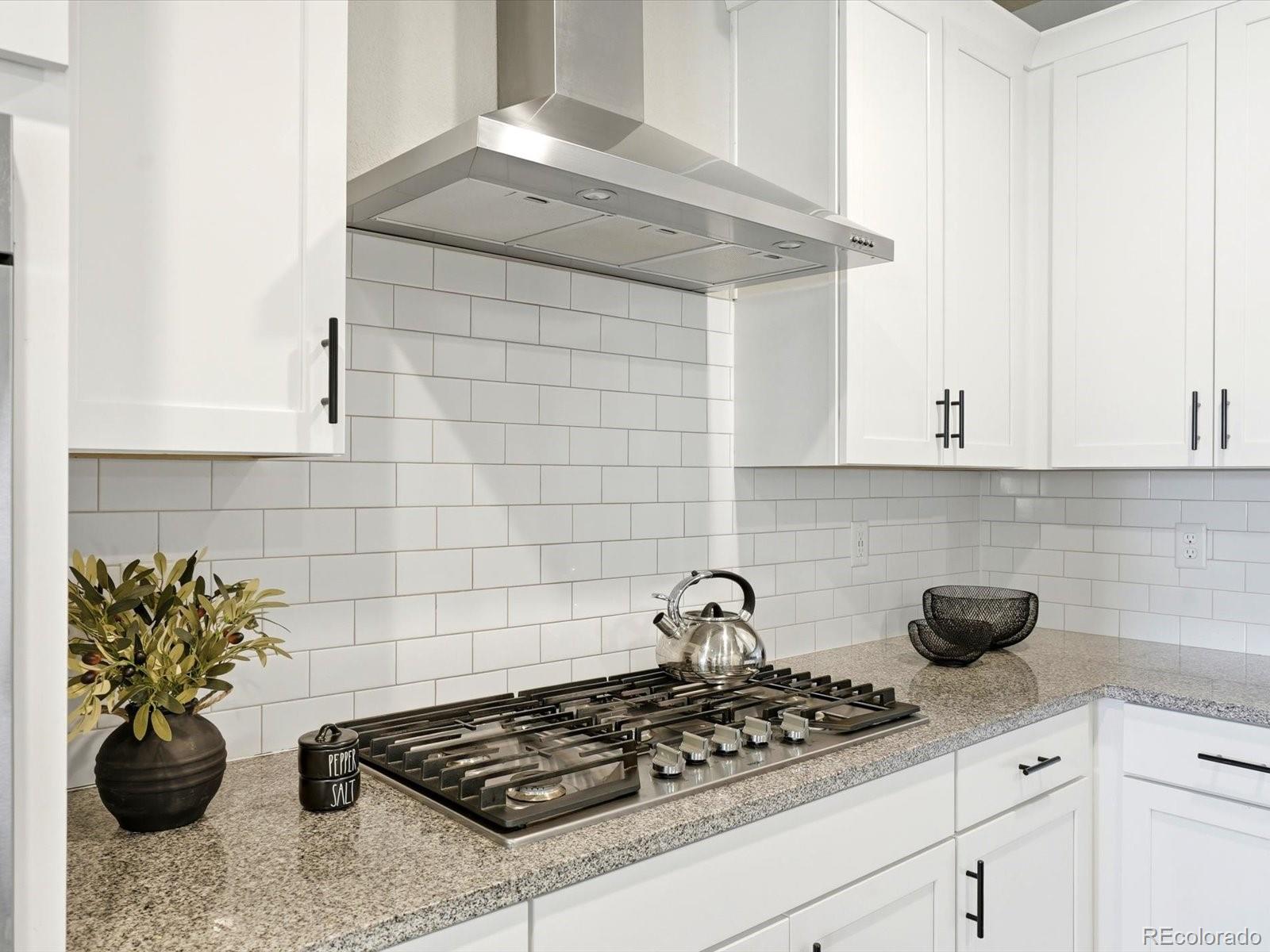 MLS Image #23 for 683  stonebridge drive,longmont, Colorado