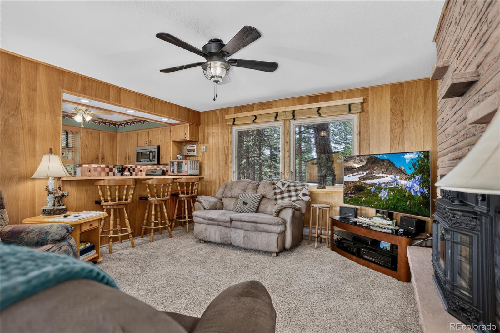 MLS Image #12 for 13019 s parker avenue,pine, Colorado