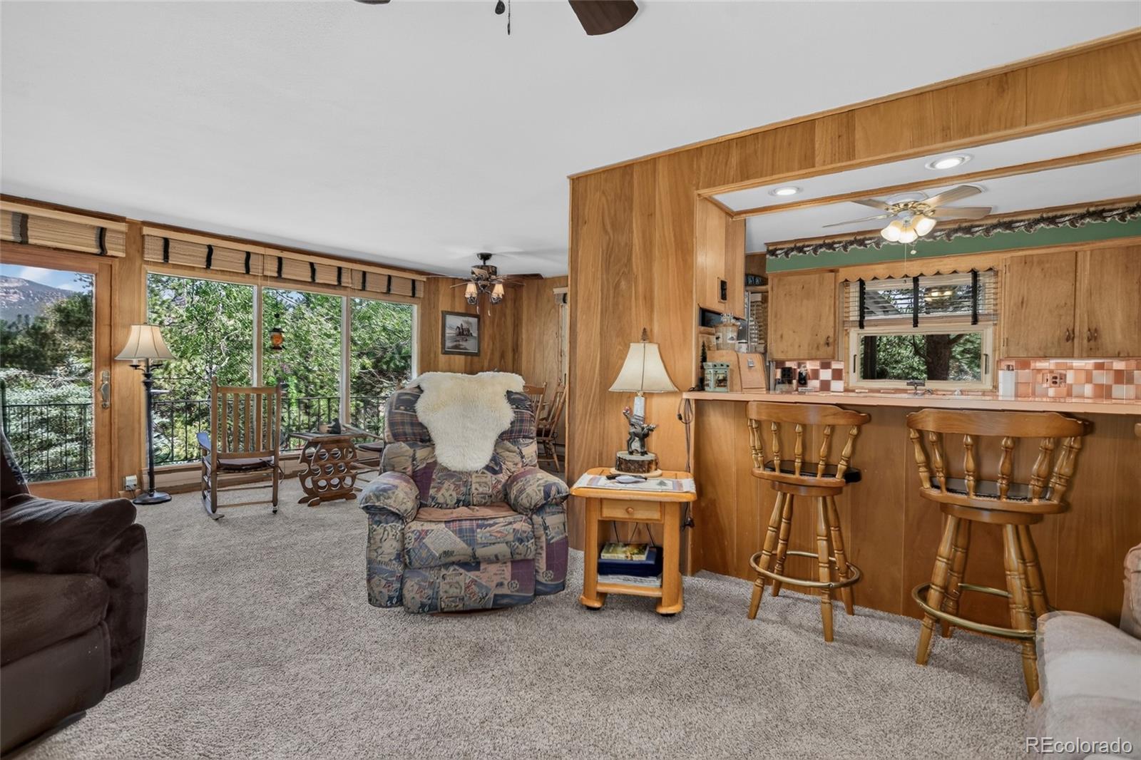 MLS Image #13 for 13019 s parker avenue,pine, Colorado