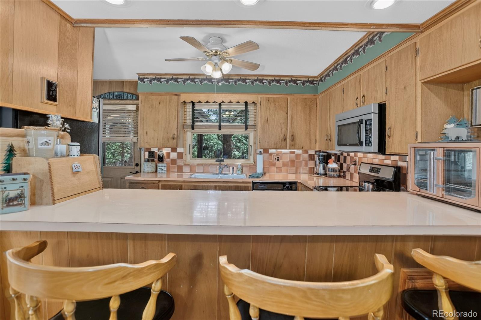 MLS Image #14 for 13019 s parker avenue,pine, Colorado
