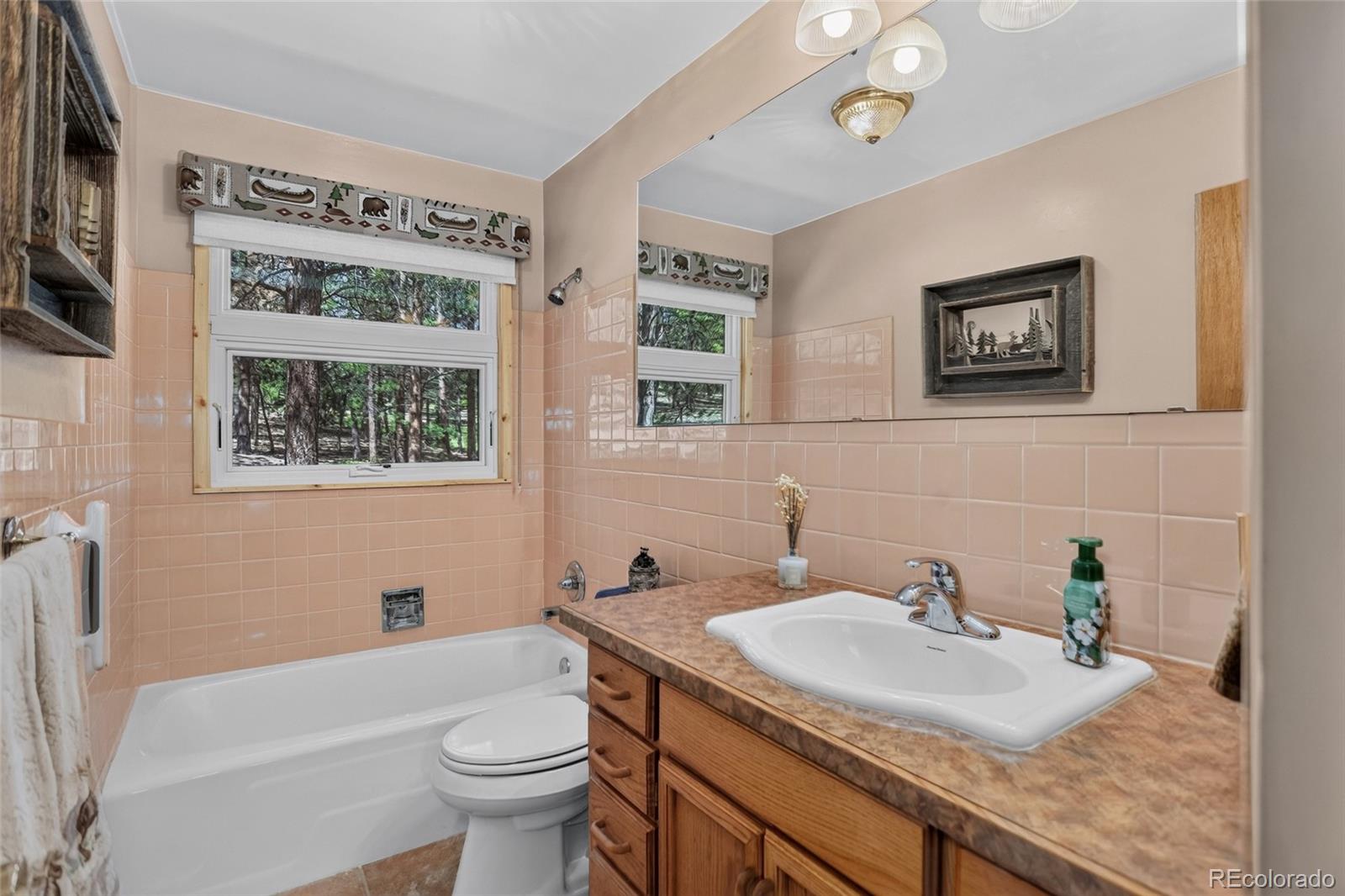 MLS Image #22 for 13019 s parker avenue,pine, Colorado