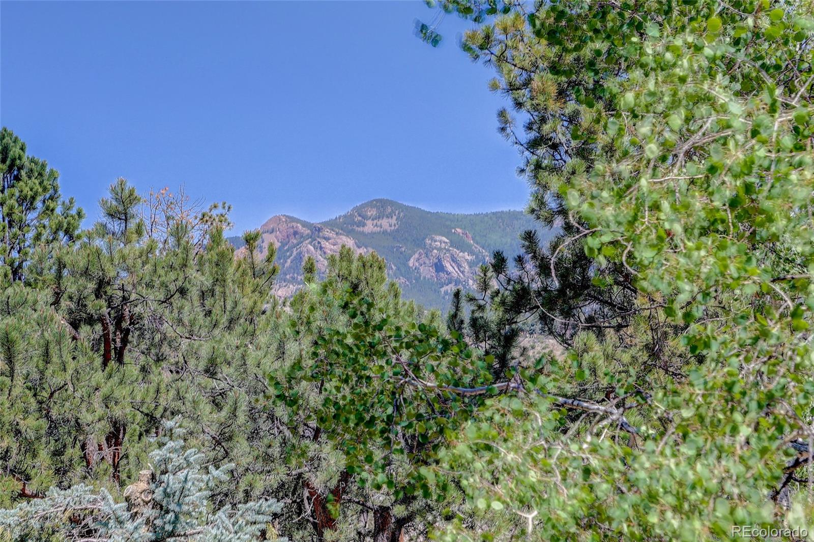 MLS Image #8 for 13019 s parker avenue,pine, Colorado