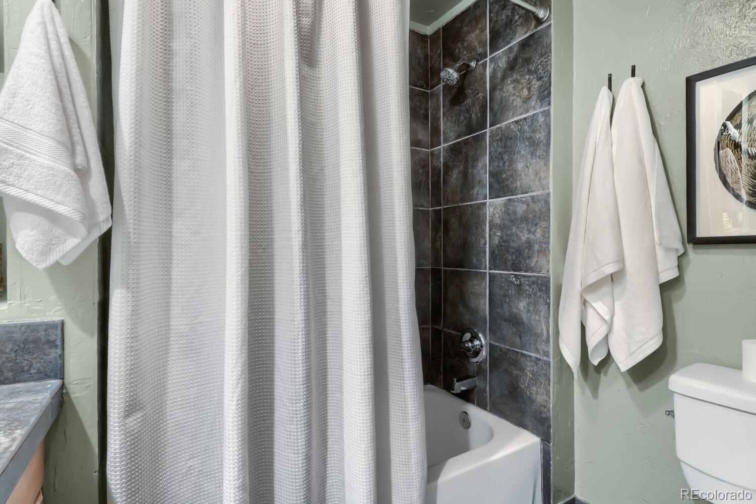 MLS Image #14 for 1769  geneva street,aurora, Colorado