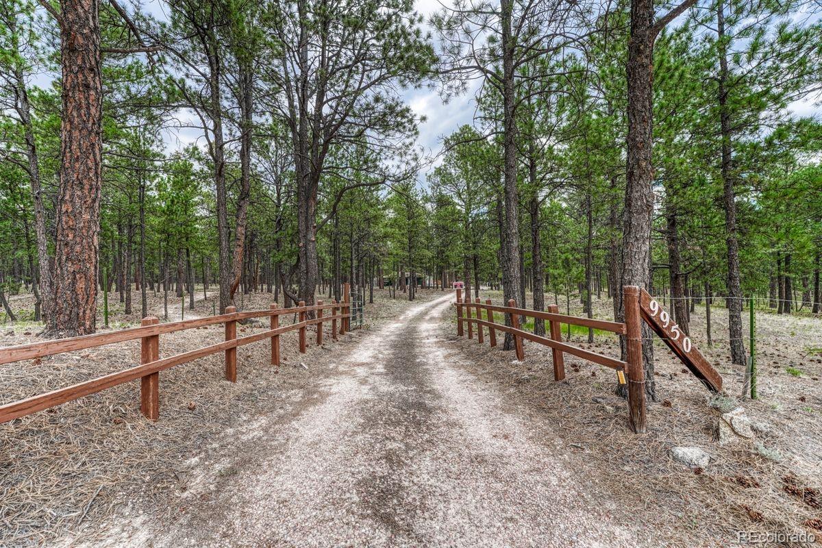 MLS Image #3 for 9950  pine park trail,colorado springs, Colorado