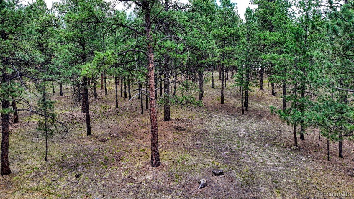 MLS Image #4 for 9950  pine park trail,colorado springs, Colorado