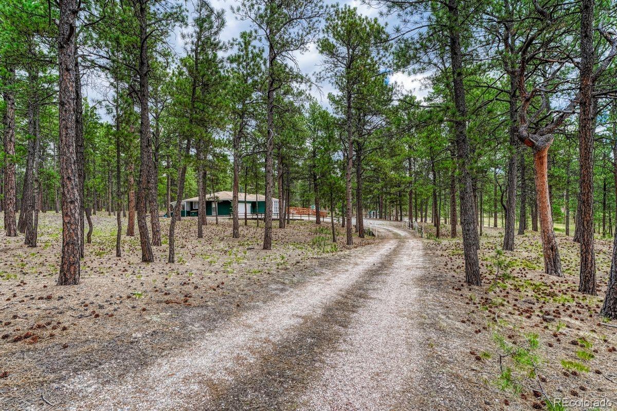 MLS Image #5 for 9950  pine park trail,colorado springs, Colorado