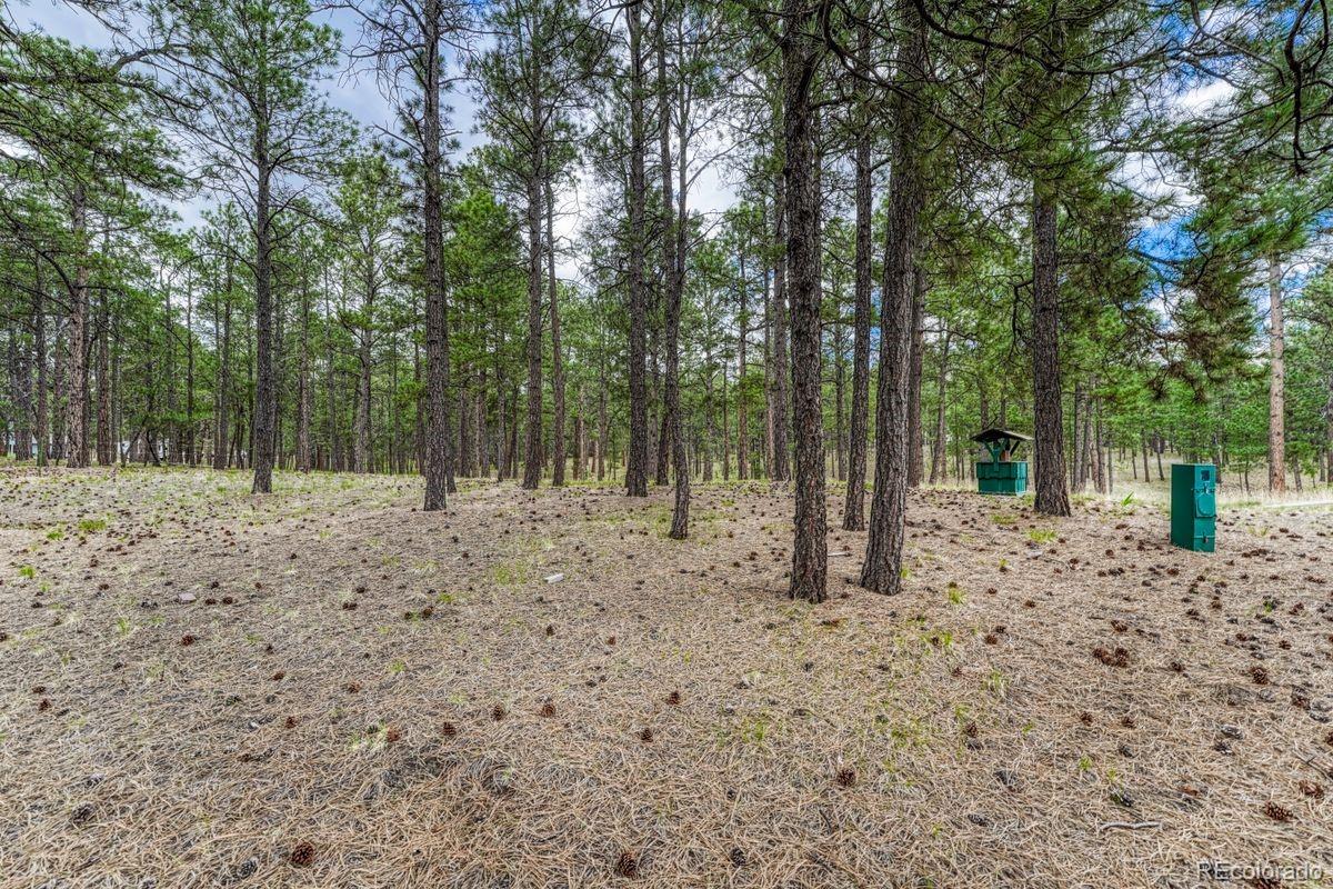 MLS Image #6 for 9950  pine park trail,colorado springs, Colorado