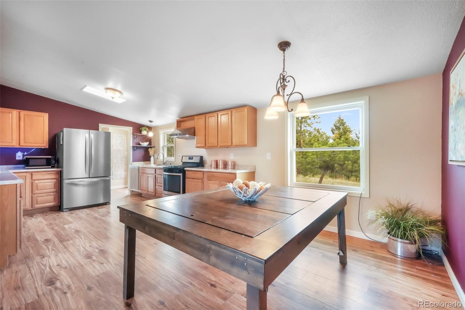 MLS Image #10 for 696  calle de la nieva ,florissant, Colorado