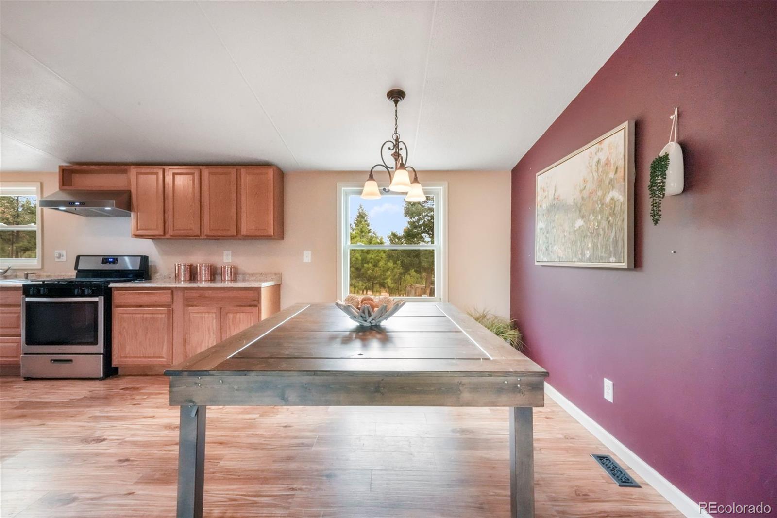 MLS Image #12 for 696  calle de la nieva ,florissant, Colorado