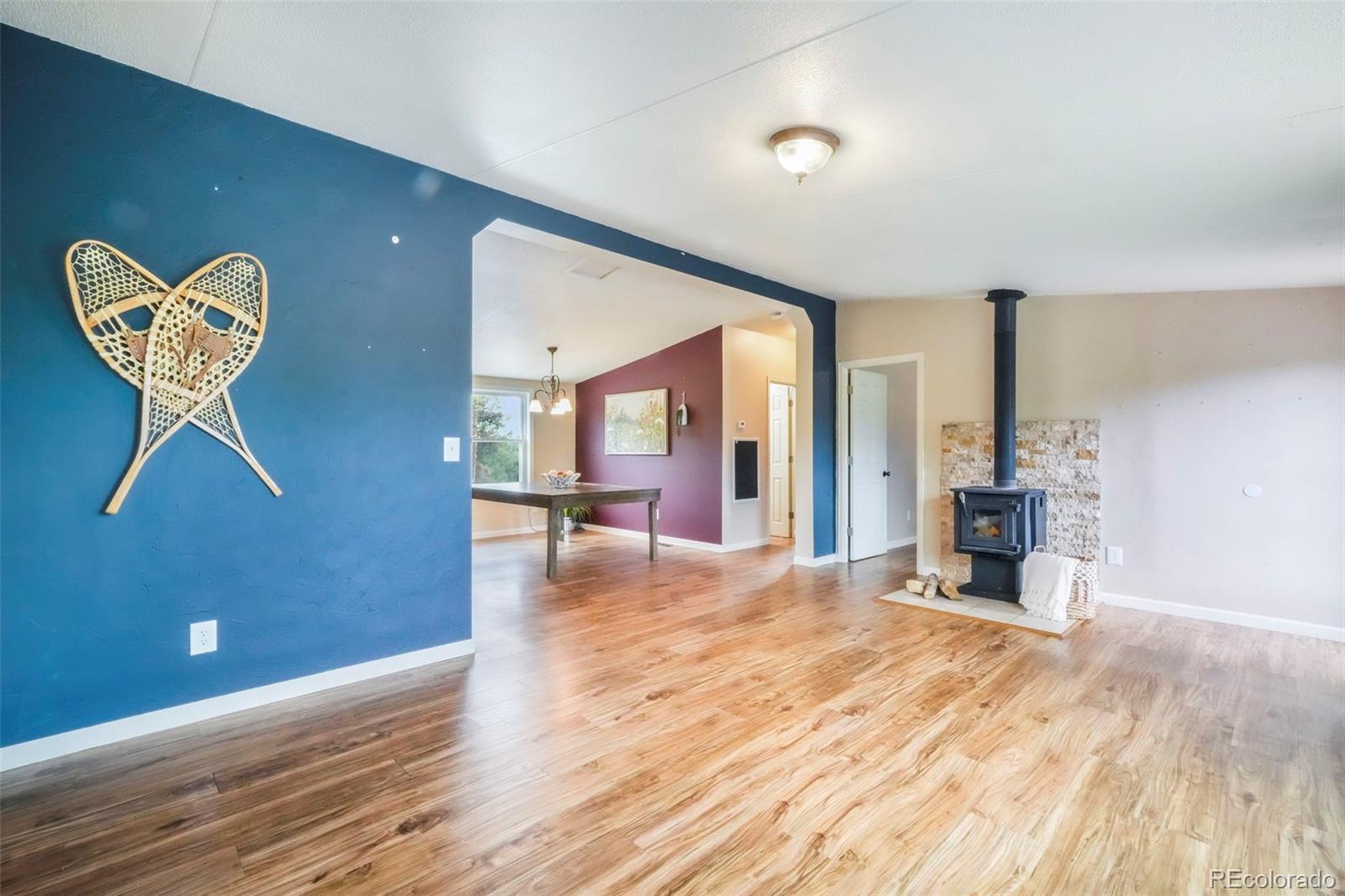 MLS Image #14 for 696  calle de la nieva ,florissant, Colorado