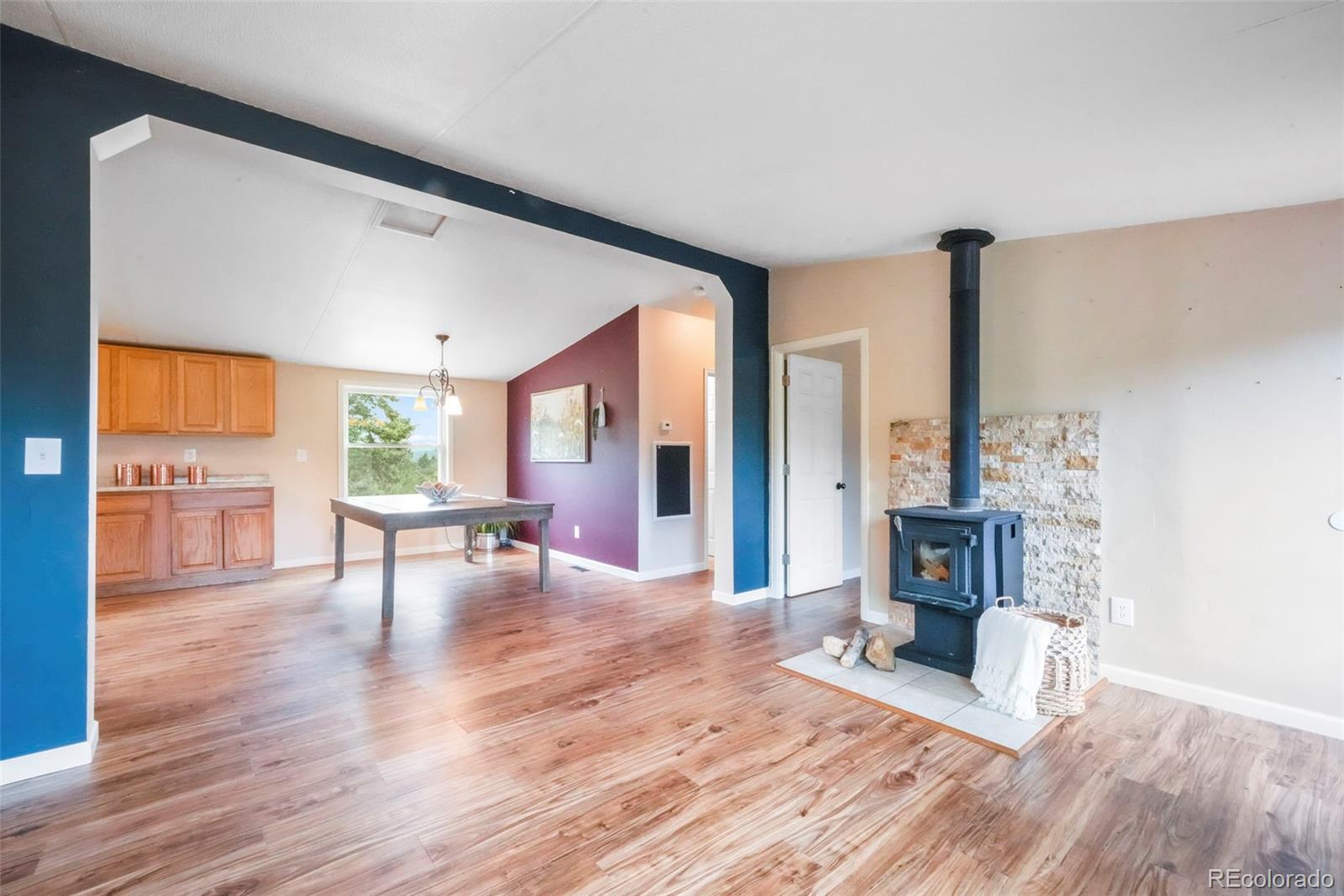 MLS Image #16 for 696  calle de la nieva ,florissant, Colorado