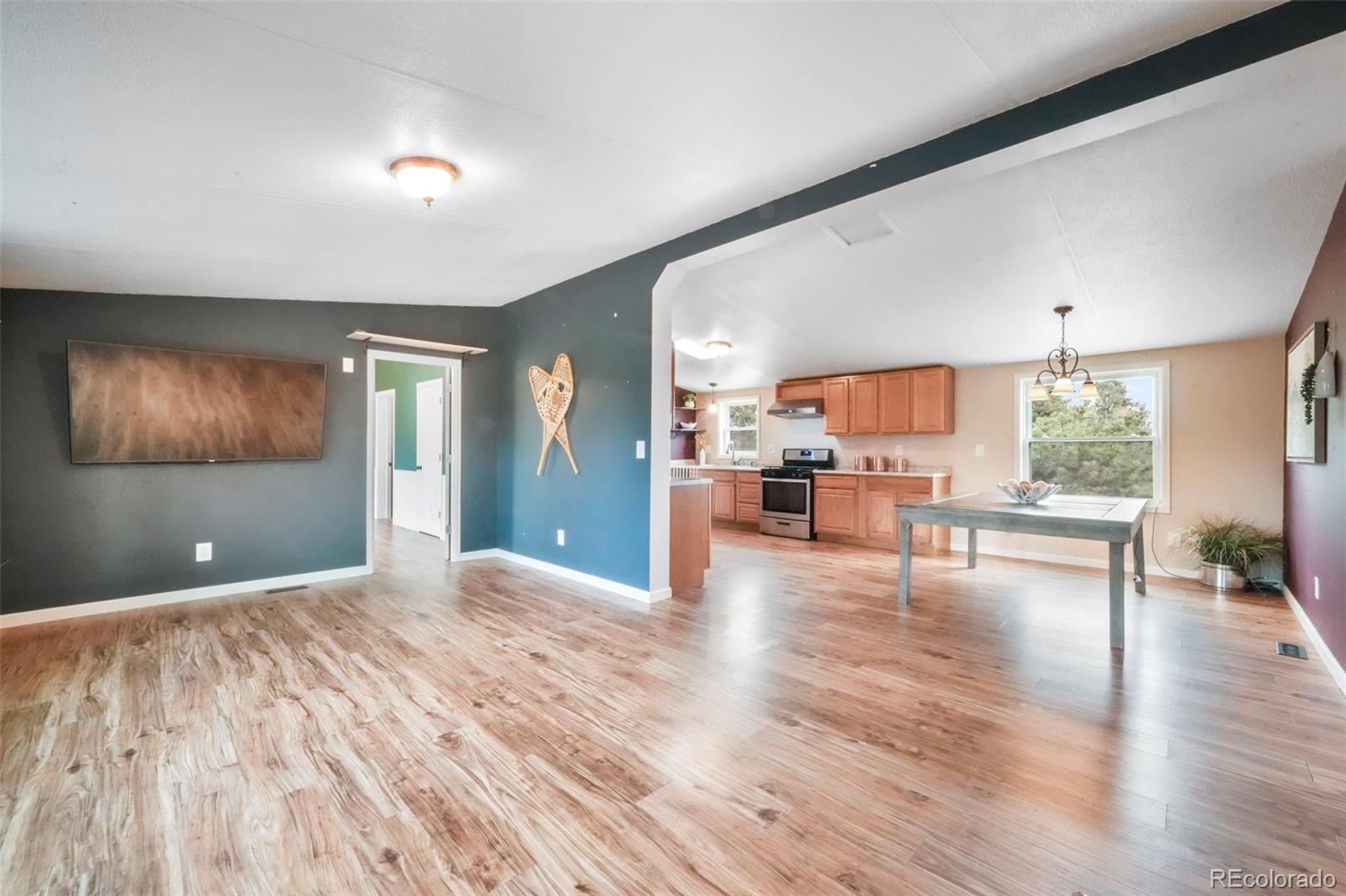 MLS Image #17 for 696  calle de la nieva ,florissant, Colorado