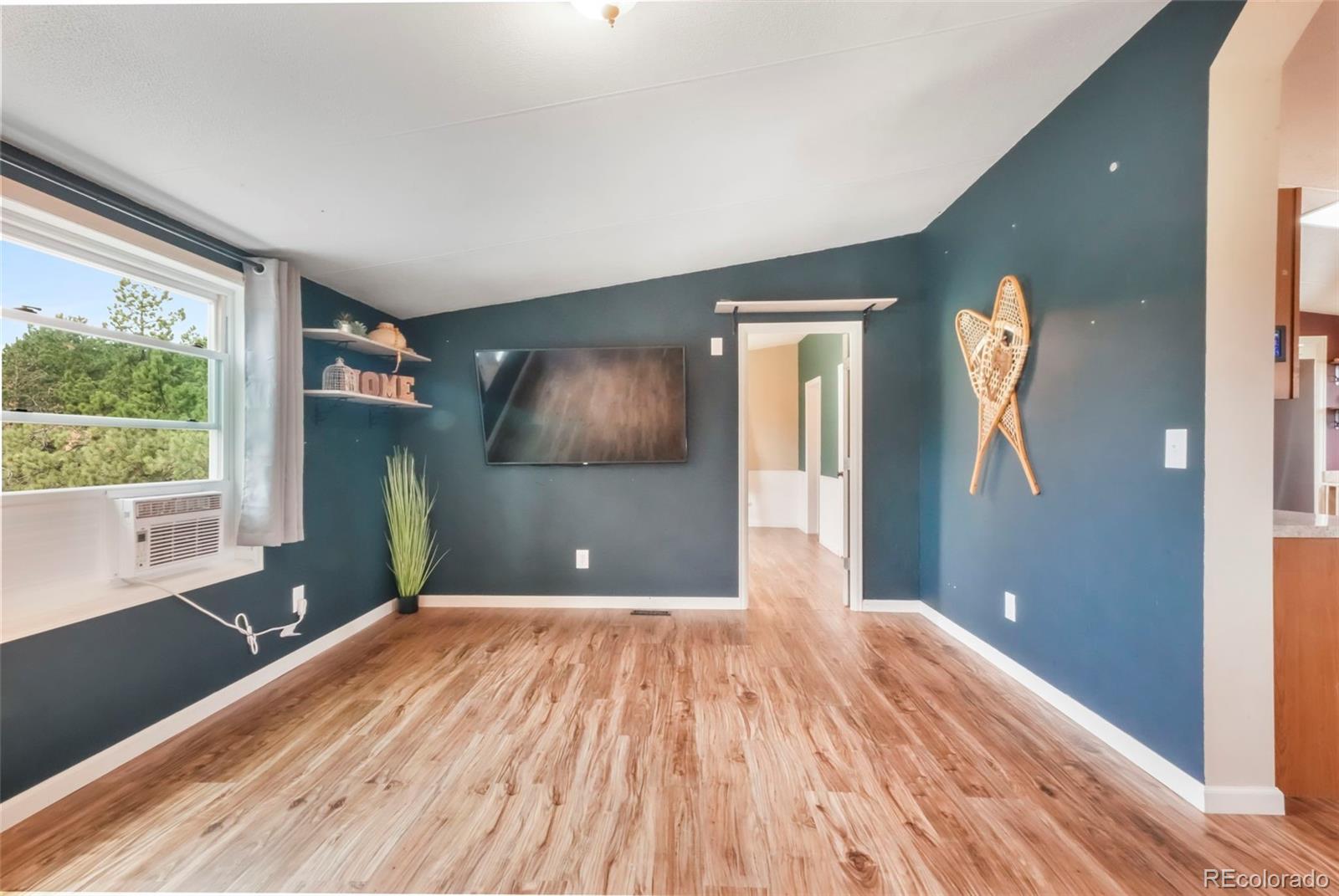 MLS Image #18 for 696  calle de la nieva ,florissant, Colorado