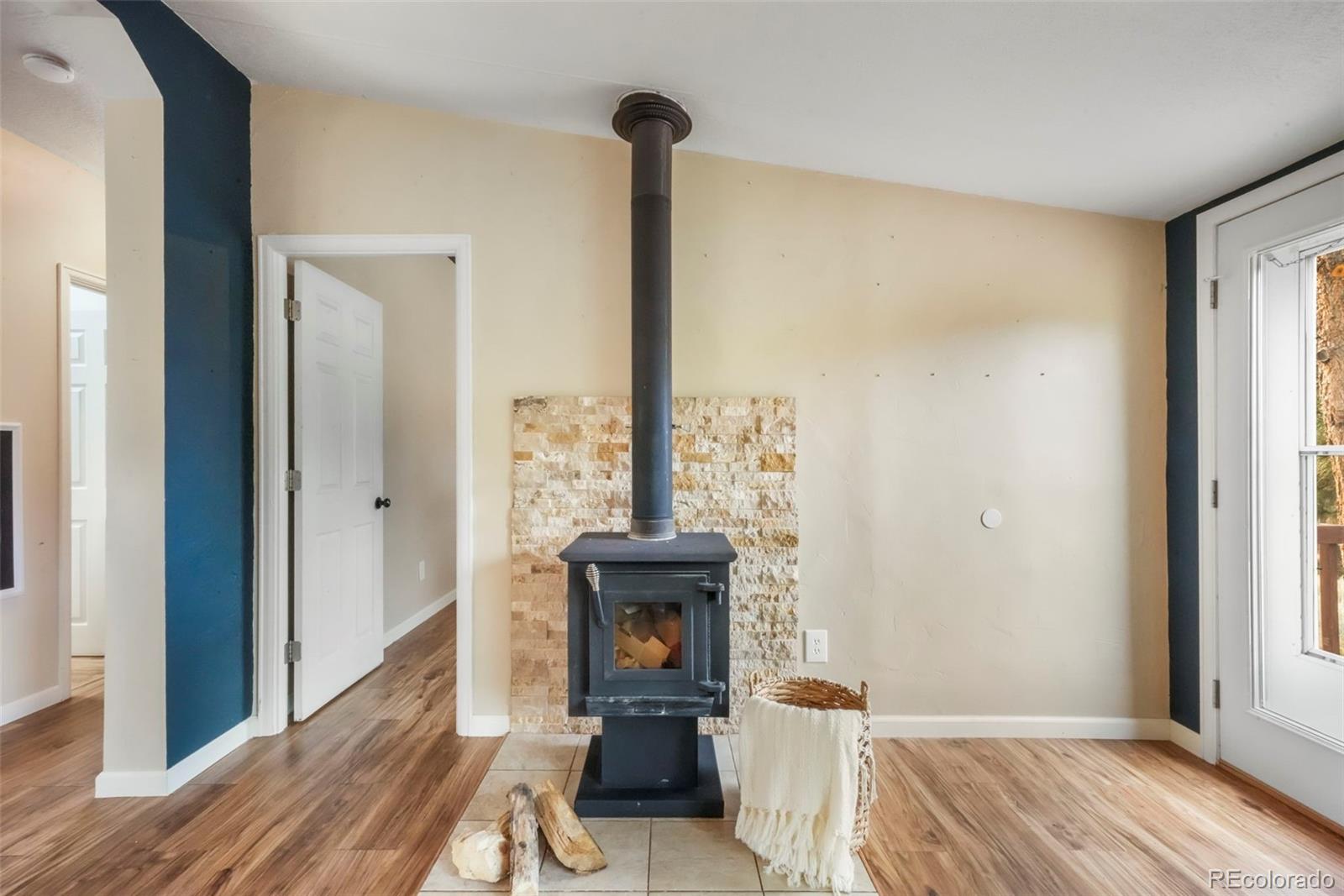 MLS Image #19 for 696  calle de la nieva ,florissant, Colorado