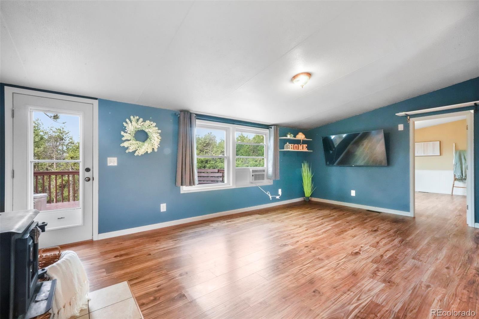 MLS Image #20 for 696  calle de la nieva ,florissant, Colorado